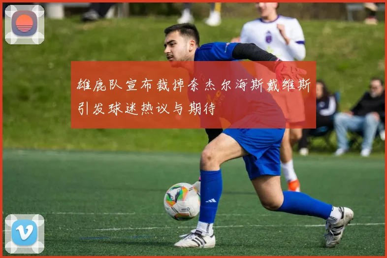雄鹿队宣布裁掉奈杰尔海斯戴维斯引发球迷热议与期待