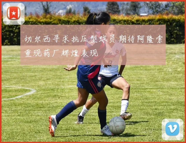 切尔西寻求抗压型球员期待阿隆索重现药厂辉煌表现